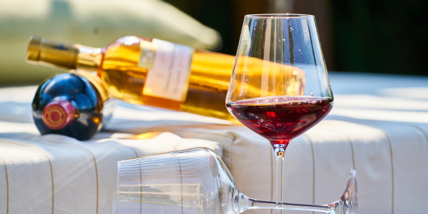 Wine for Beginners: How to Choose the Right Bottle Every Time