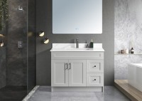 42" HDF Shaker Bathroom Vanity - 2 Doors and 2 Drawers - Grey