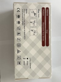 Vinyl Gloves – Economical, Latex-Free Hand Protection