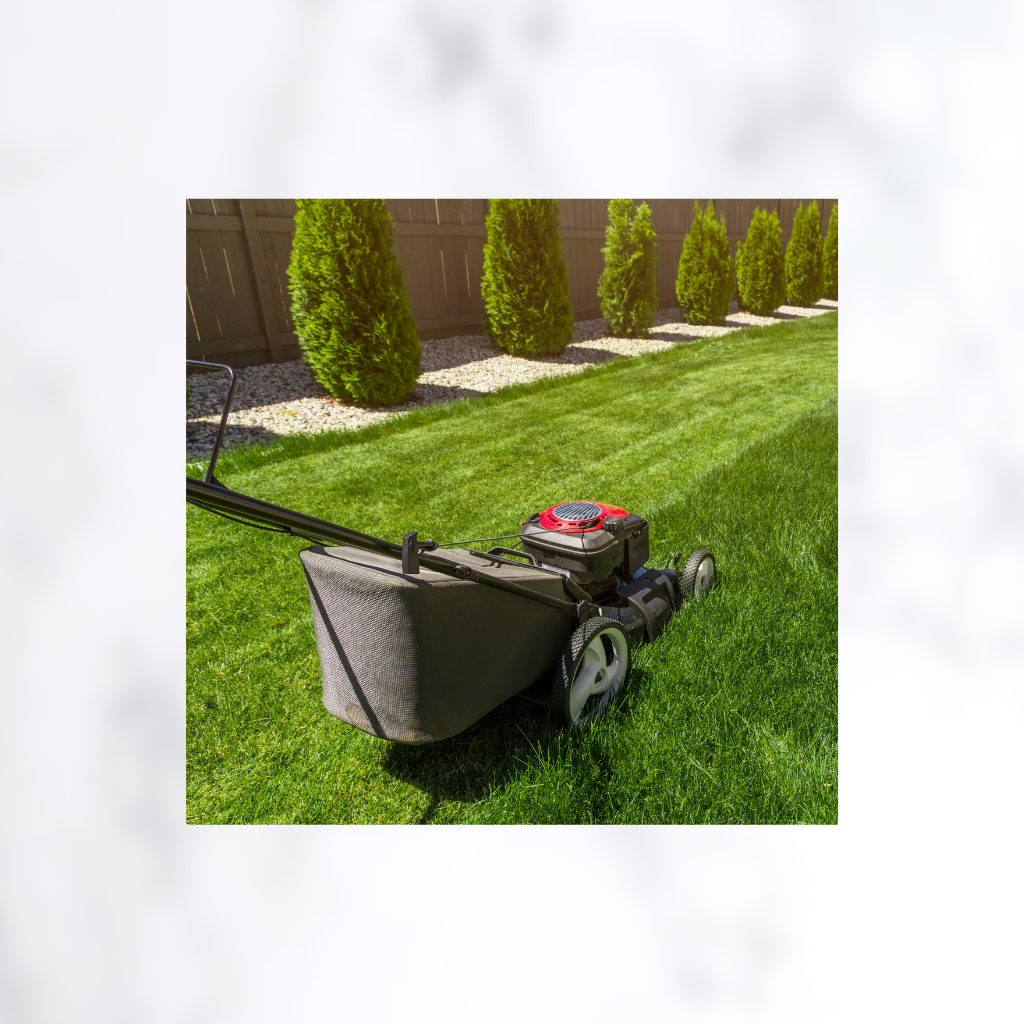 Lawn and Garden
