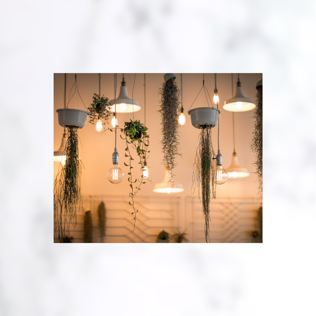 Outdoor Decor